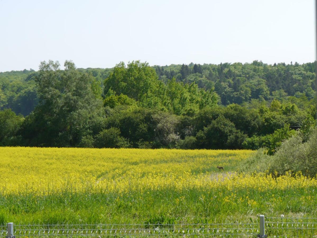Ferienhaus-Uckermarkblick Rosenow  Екстер'єр фото